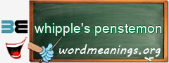 WordMeaning blackboard for whipple's penstemon